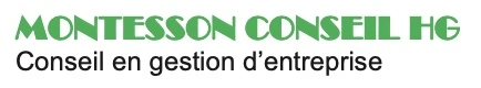 Logo Montesson Conseil HG, client VISIOfact